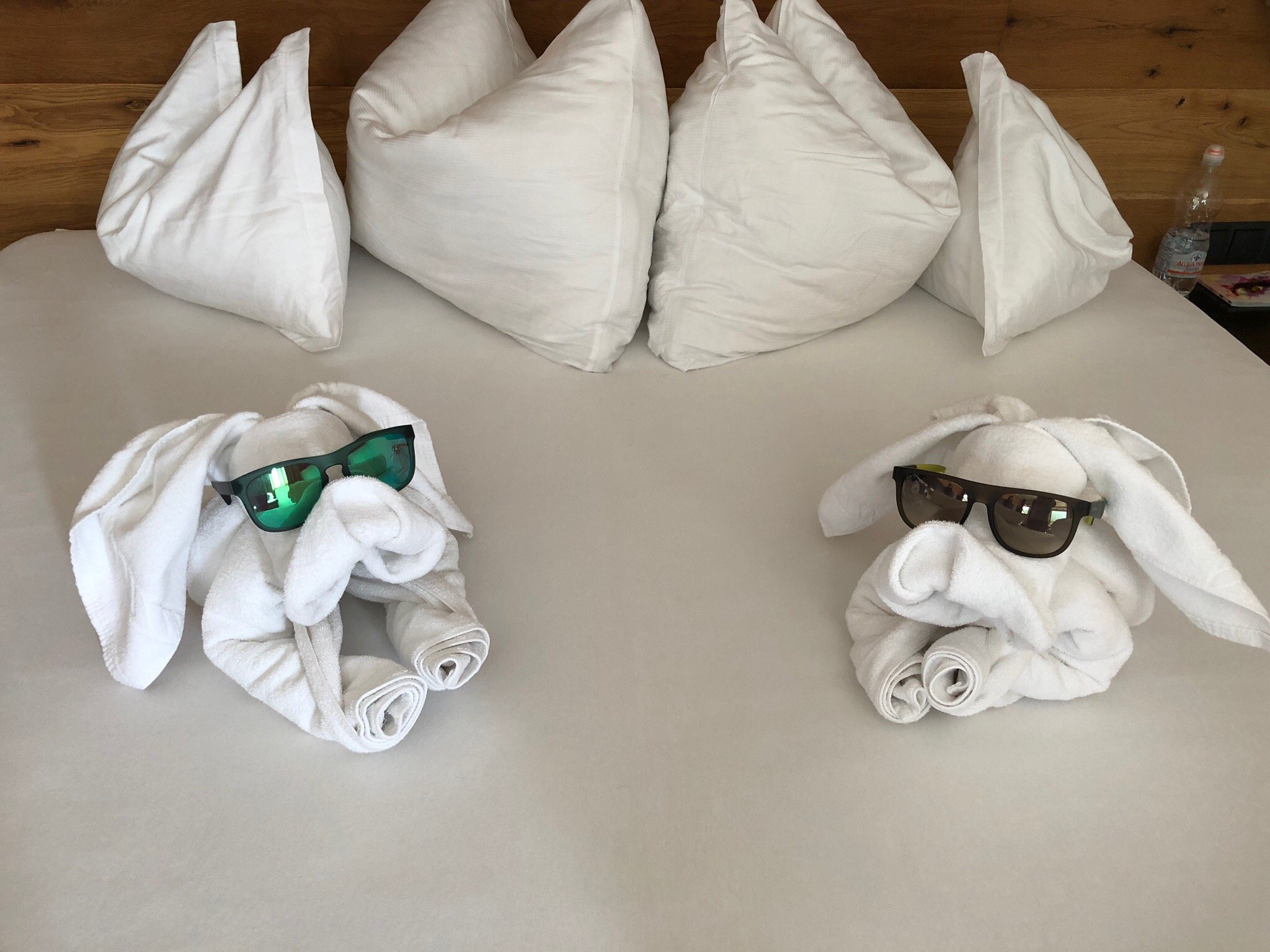 Friedrich Hotel-官方