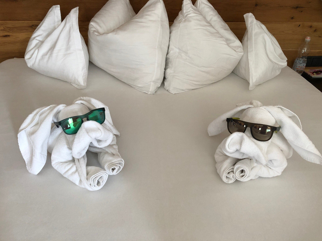 Friedrich Hotel主图