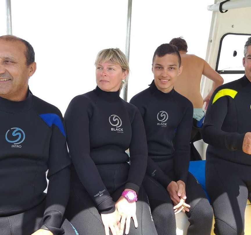 Shark Divers-Kleinbaai必去景点