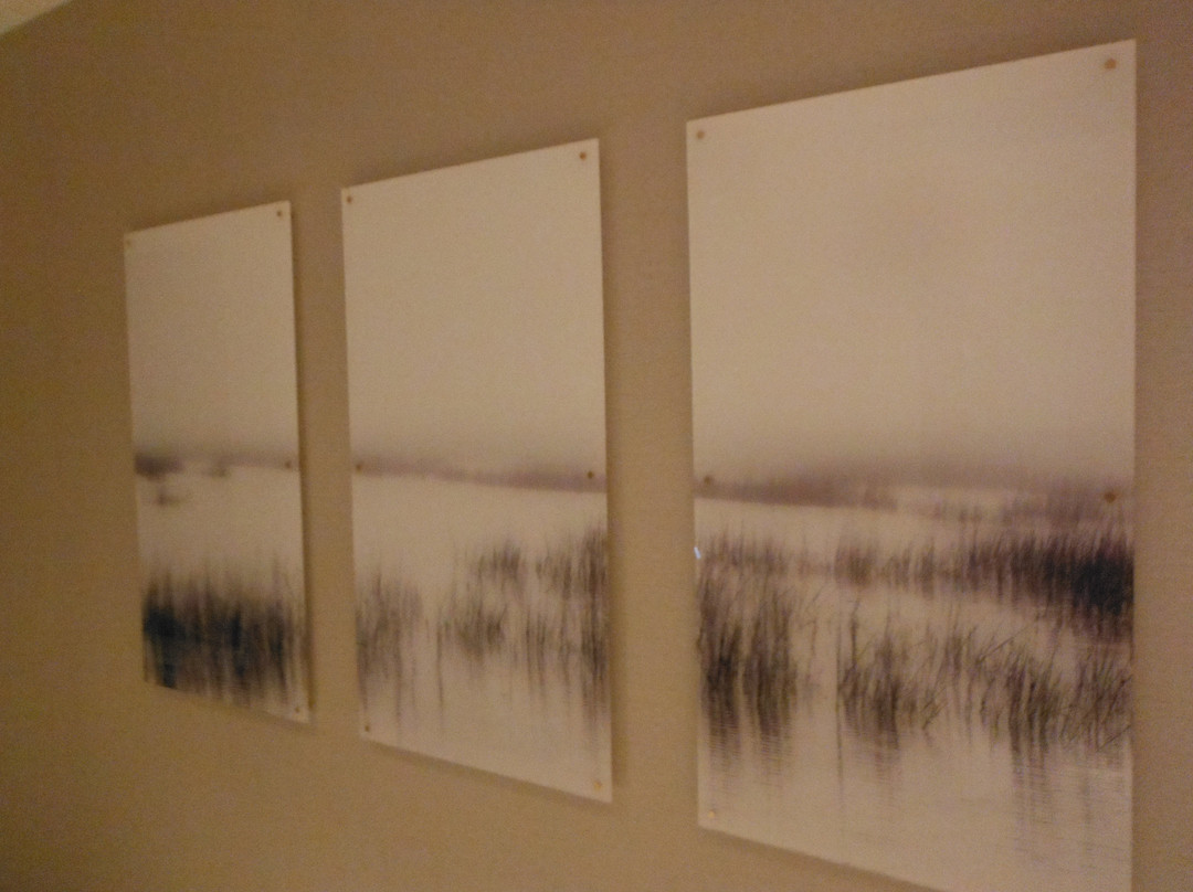 Hyatt Place Mount Pleasant Towne Centre主图