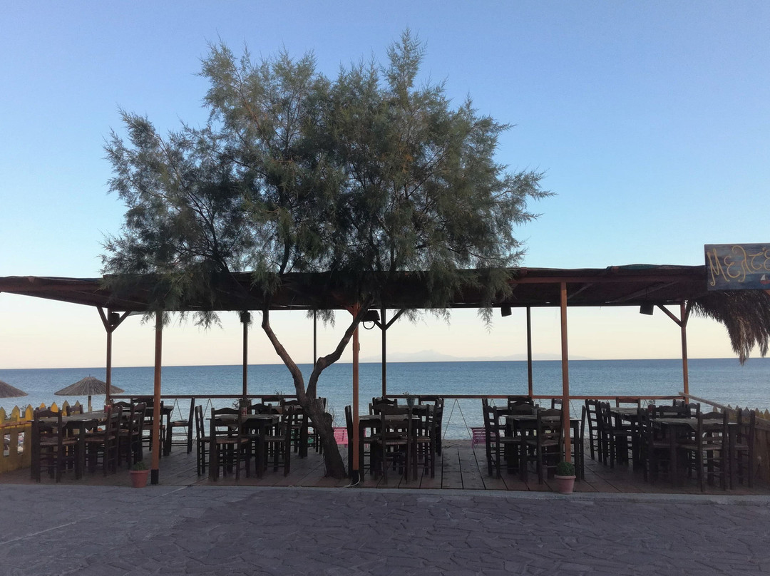 Apothikes餐馆和美食-Meltemi
