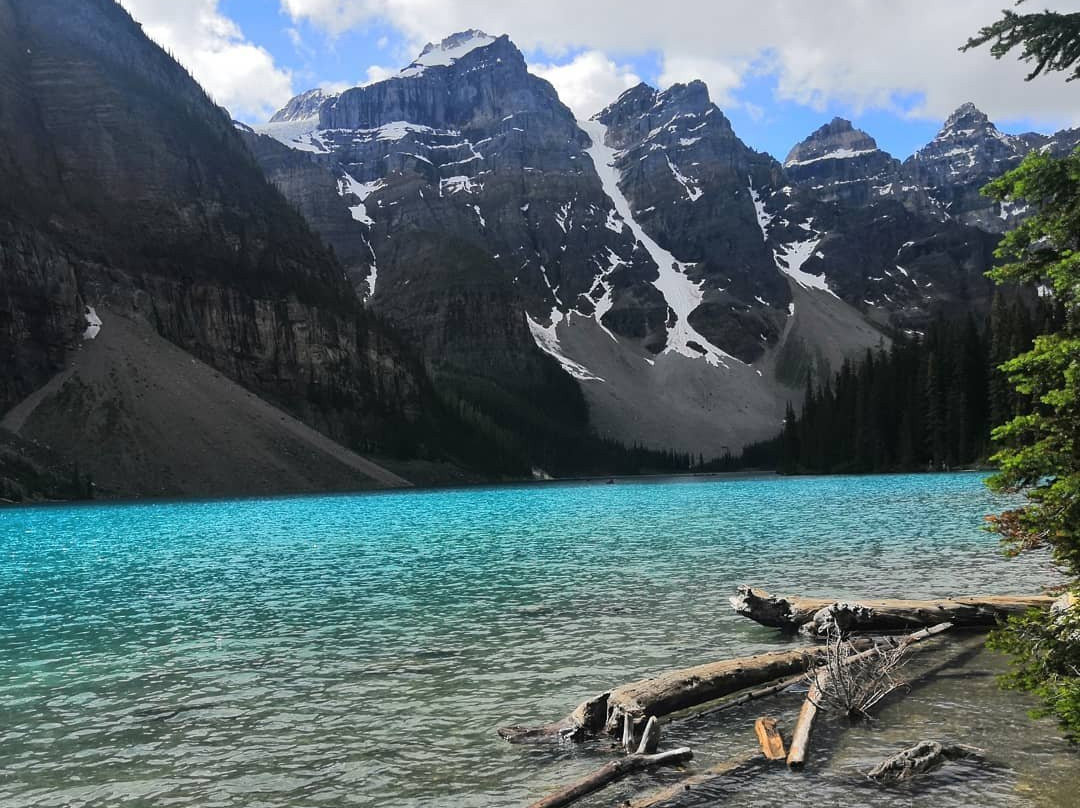 RTB Tours-卡尔加里必去景点