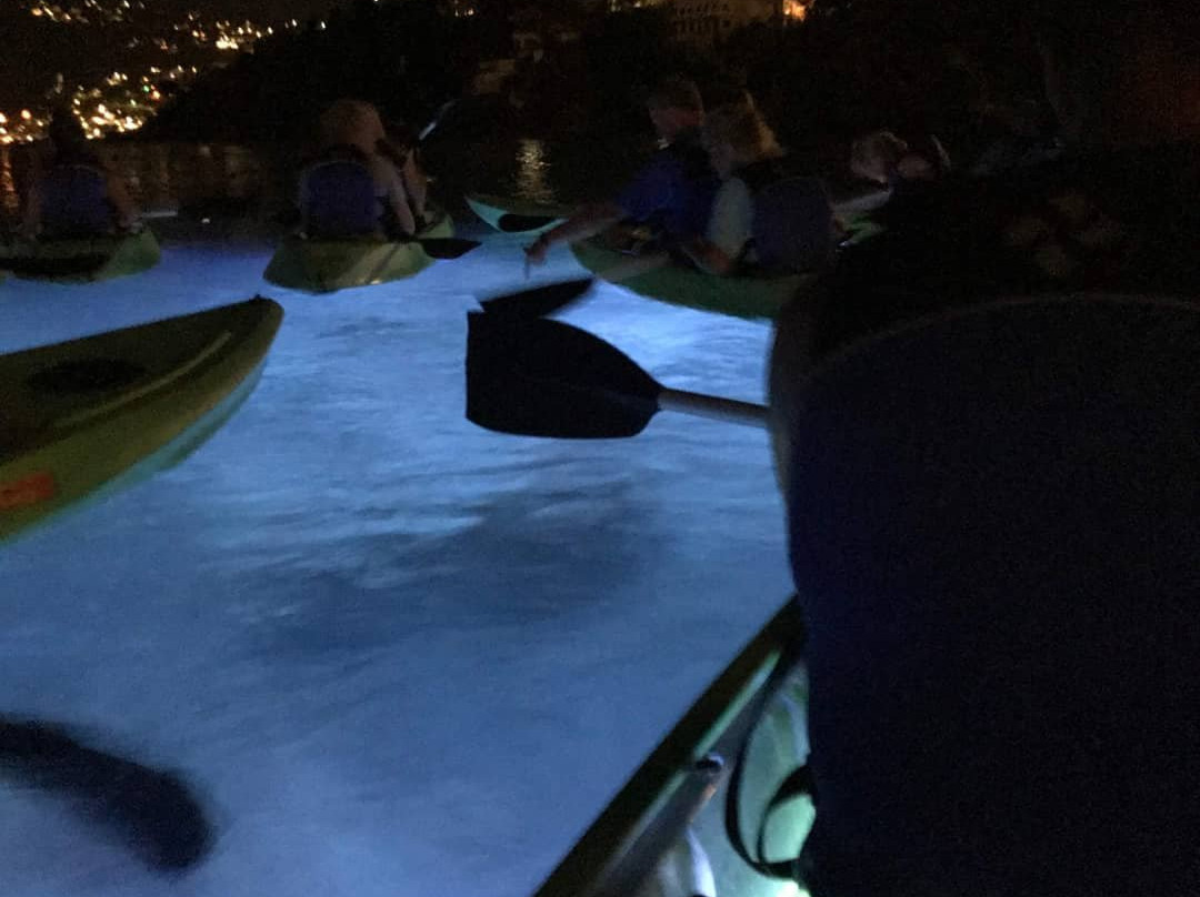 Night Kayak-圣 托马斯必去景点