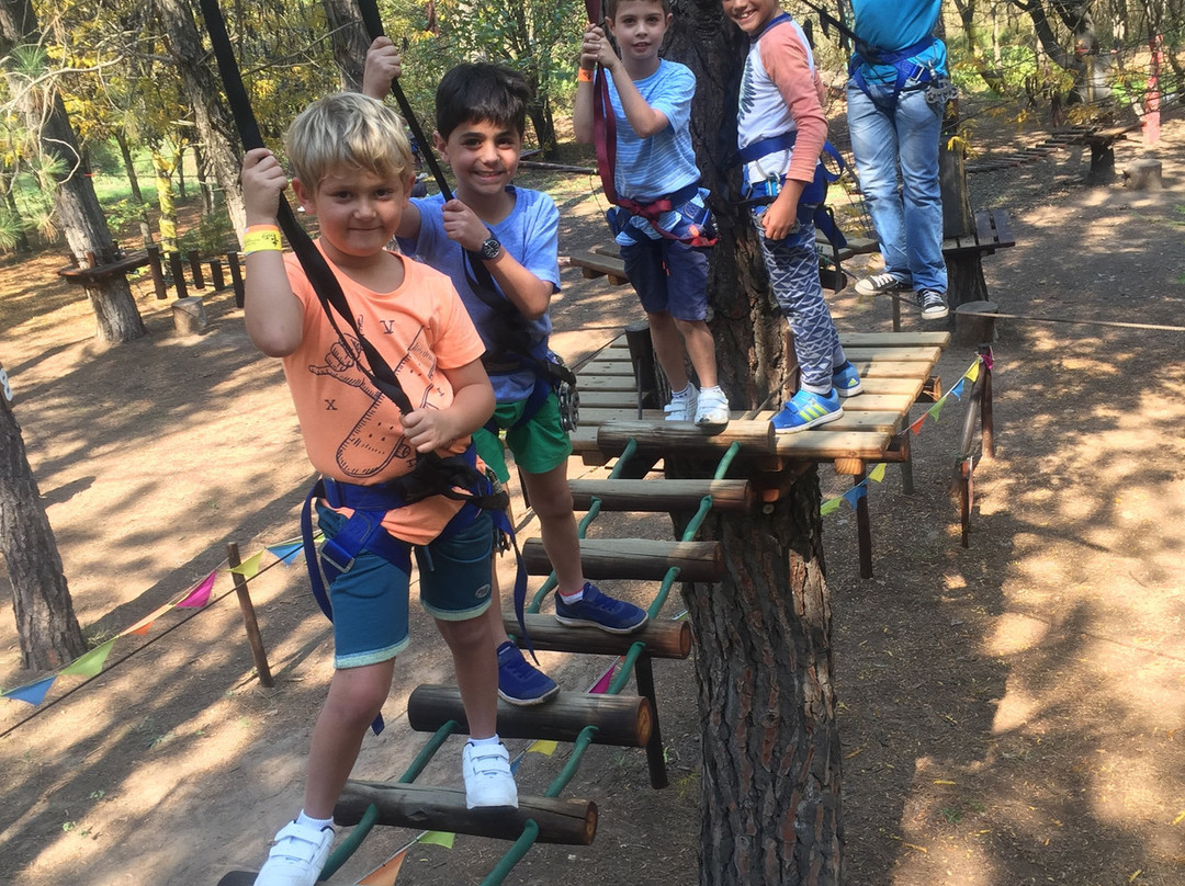 Tree Top Adventures景点图片