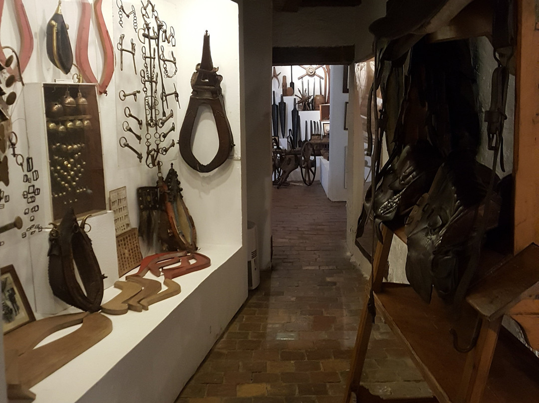 Musee des Arts Populaires景点图片