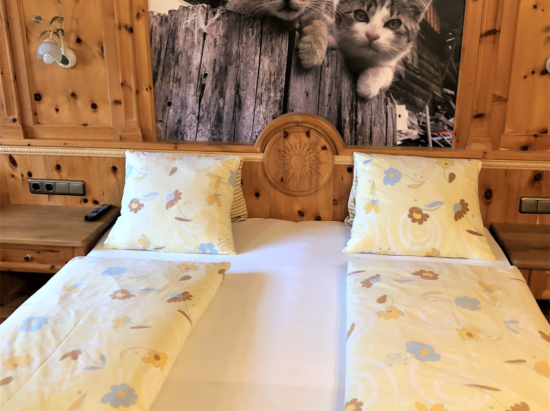 Hotel Humlerhof主图