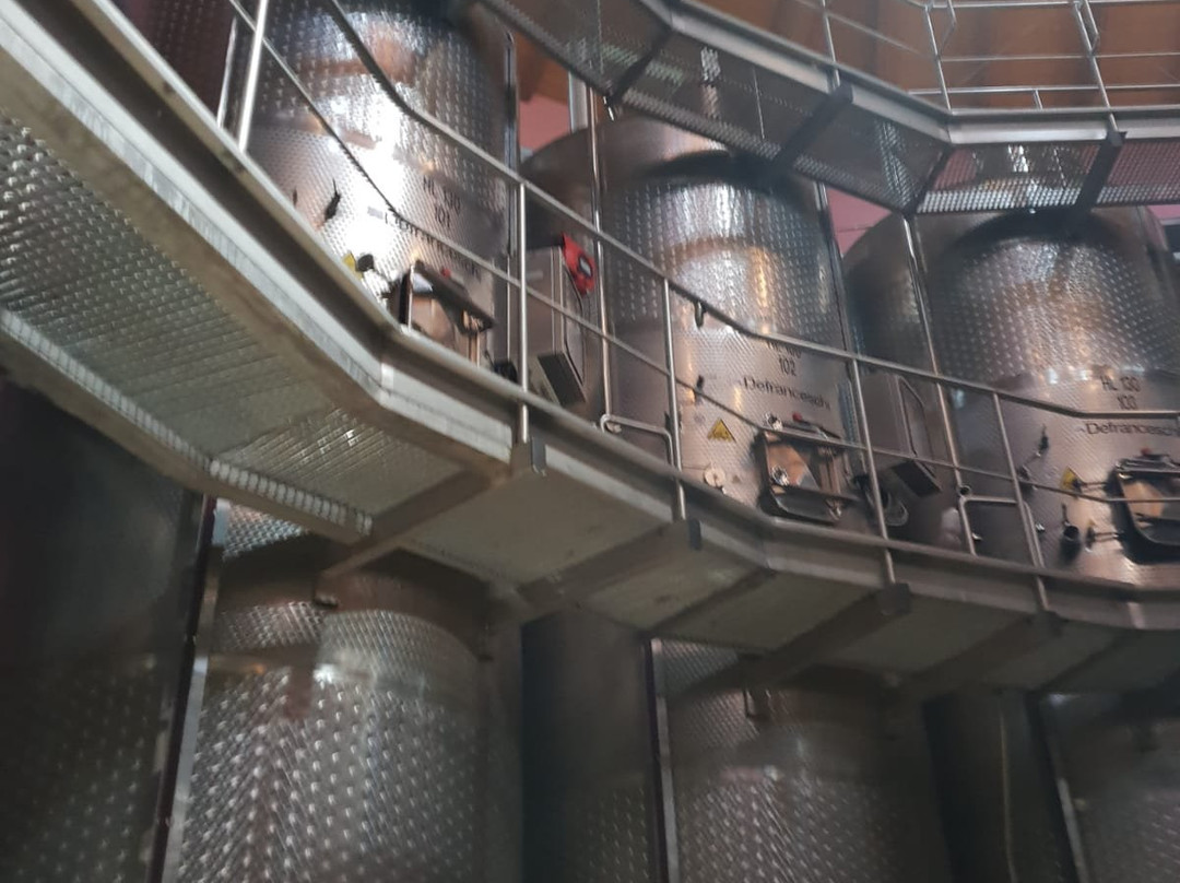 Tenuta Santavenere - Casa Vinicola Triacca-蒙特普尔恰诺必去景点