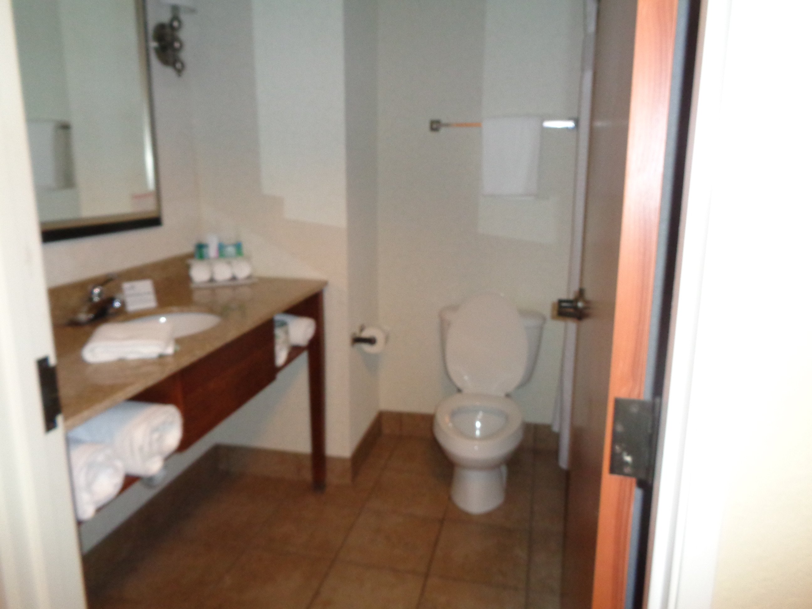 Holiday Inn Express & Suites Lancaster By IHG-浴室