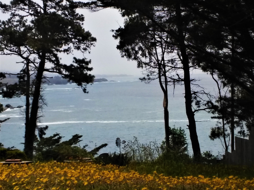 Whale Watch Inn By The Sea主图