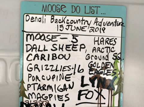 Denali Backcountry Adventure-德纳利国家公园和自然保护区必去景点