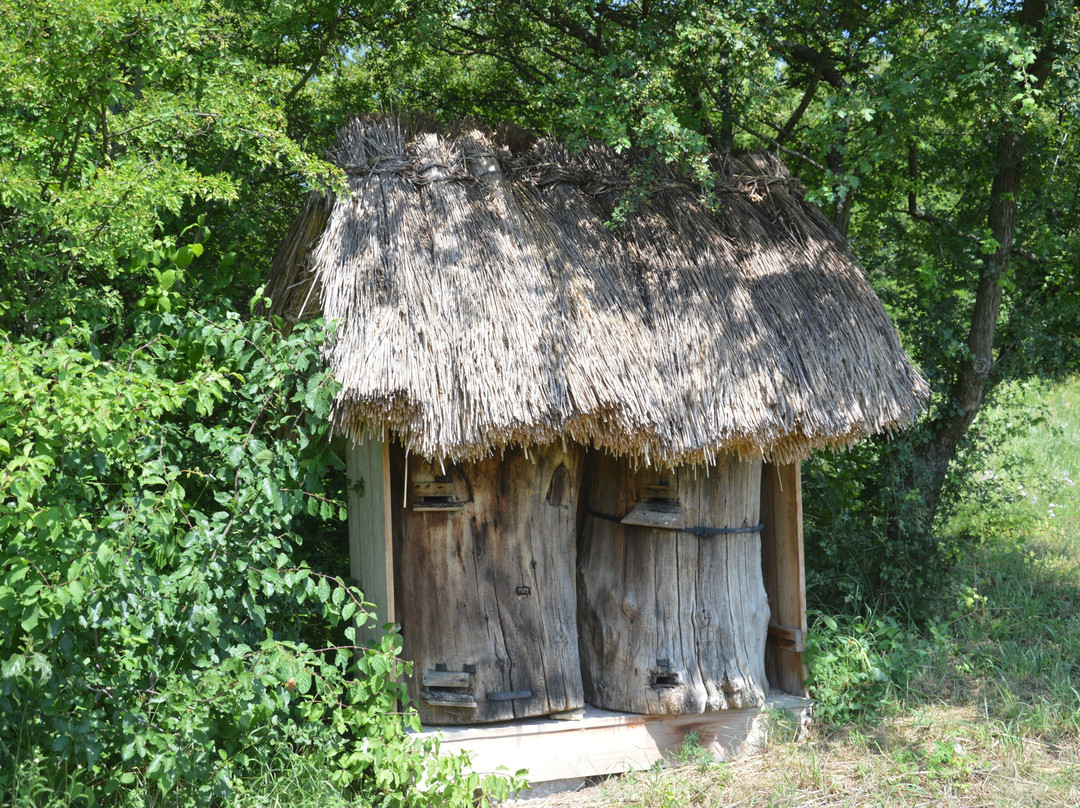 Open-air museum Rochus景点图片