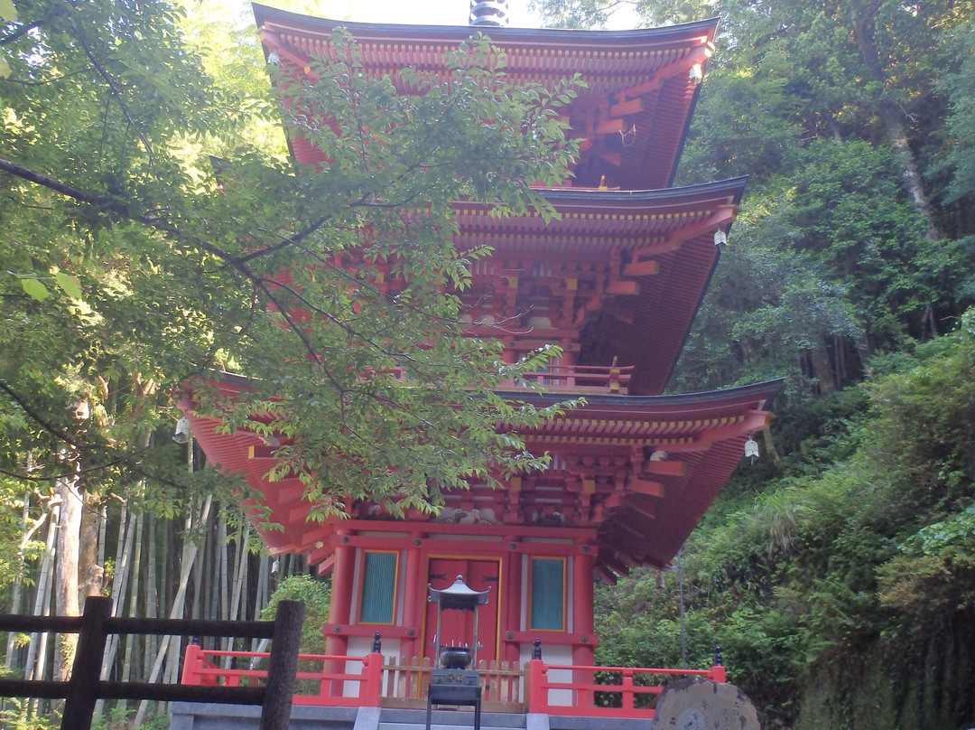 Shoryuji Temple-土佐市必去景点