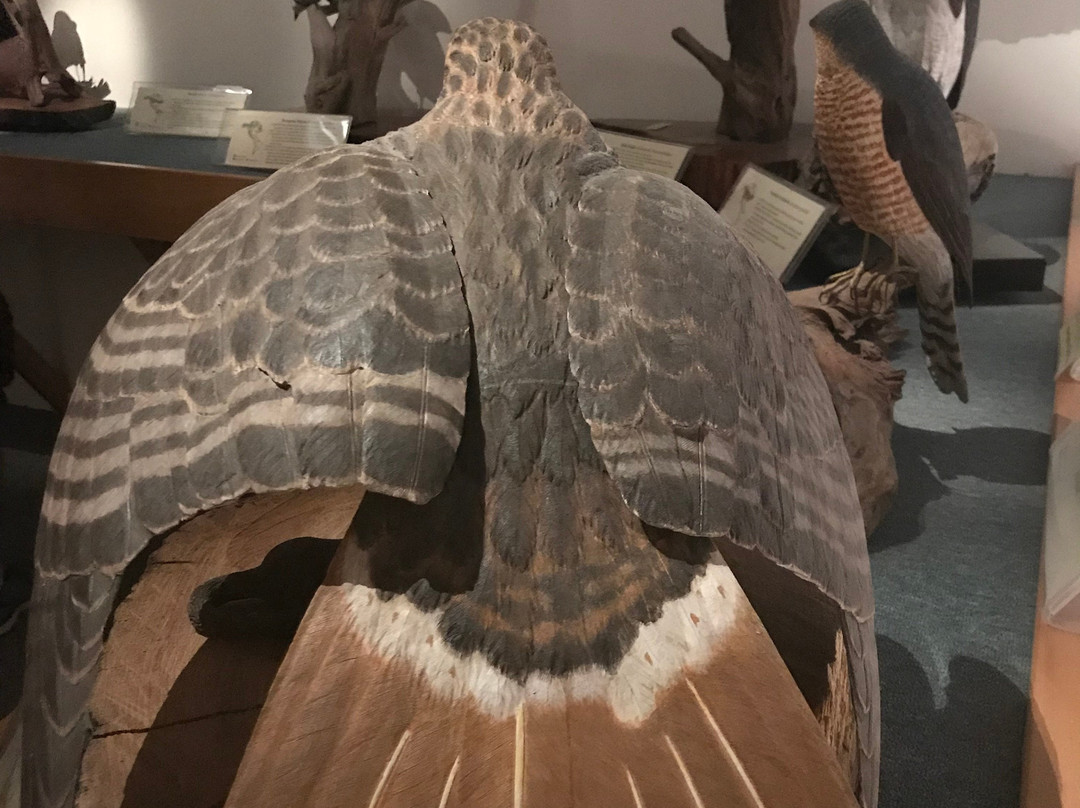Birds of Vermont Museum-Huntington必去景点