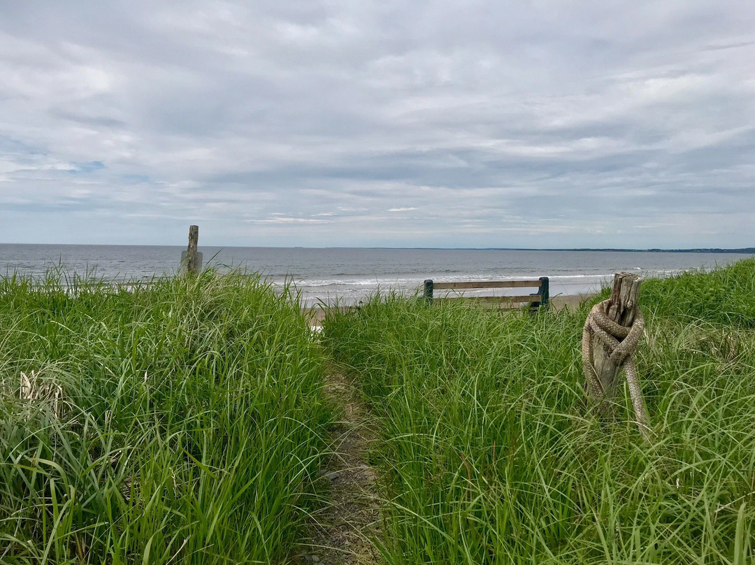 Moonlight Beach Suites主图