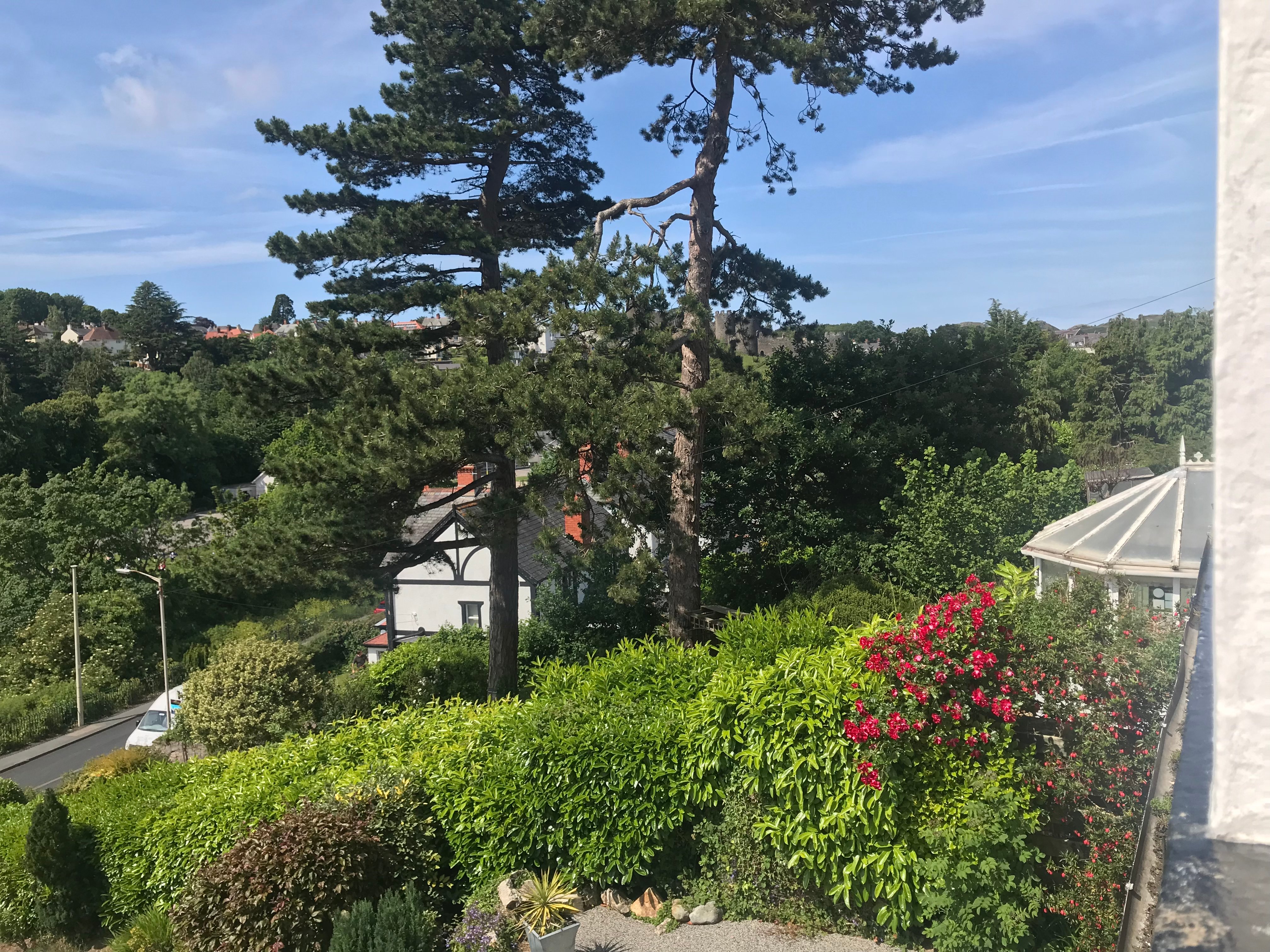 Bryn Derwen Guest House-酒店景观