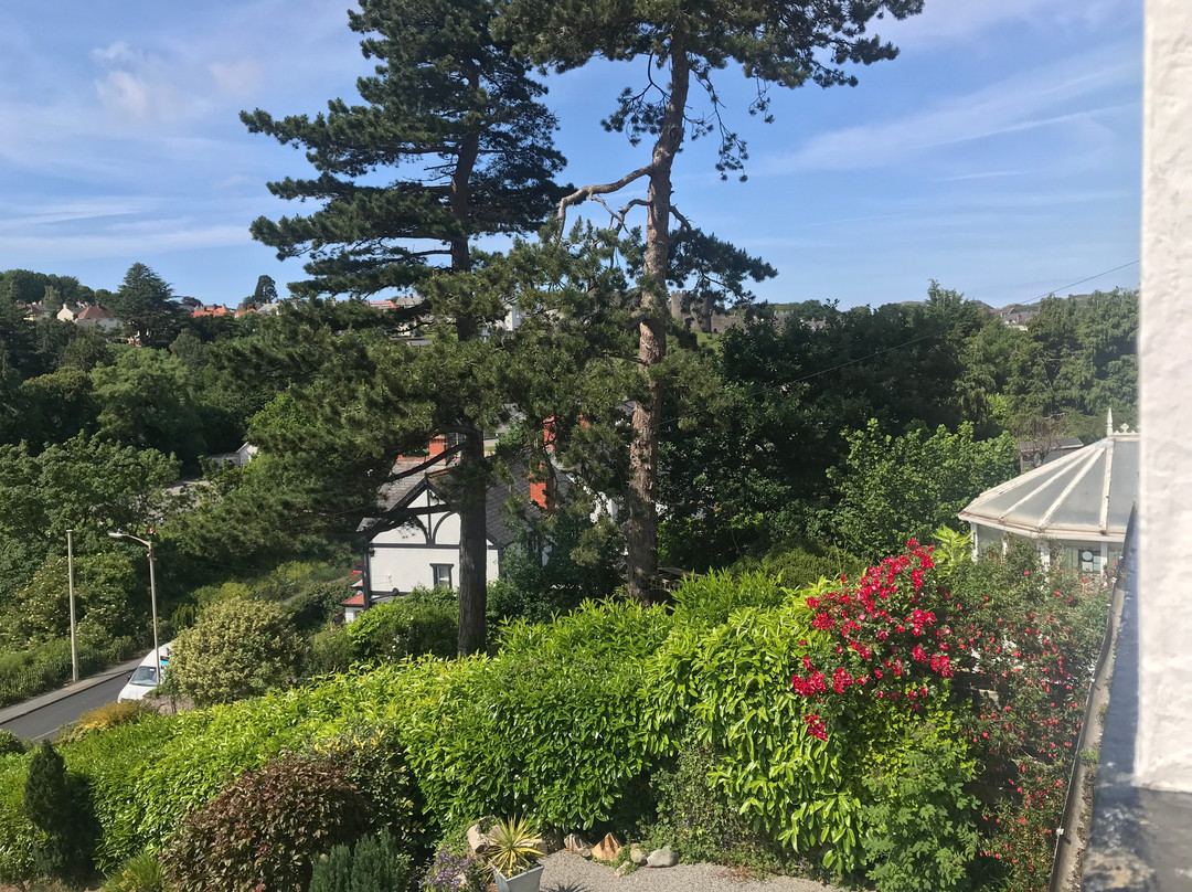 Bryn Derwen Guest House主图