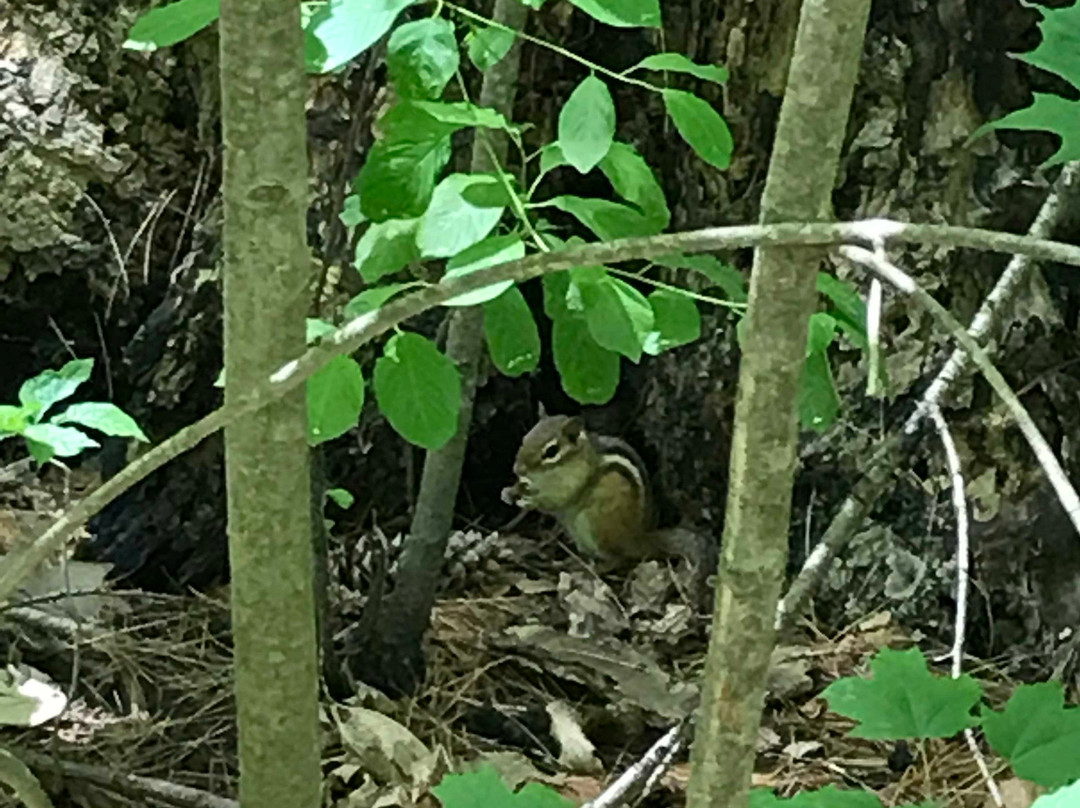 Red Rocks Park-南伯灵顿必去景点