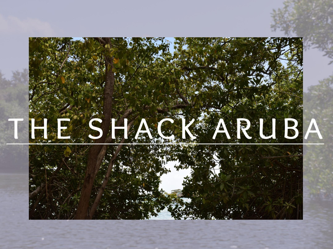 The Shack Aruba景点图片