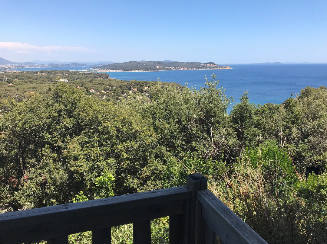 Villa Fabregas主图