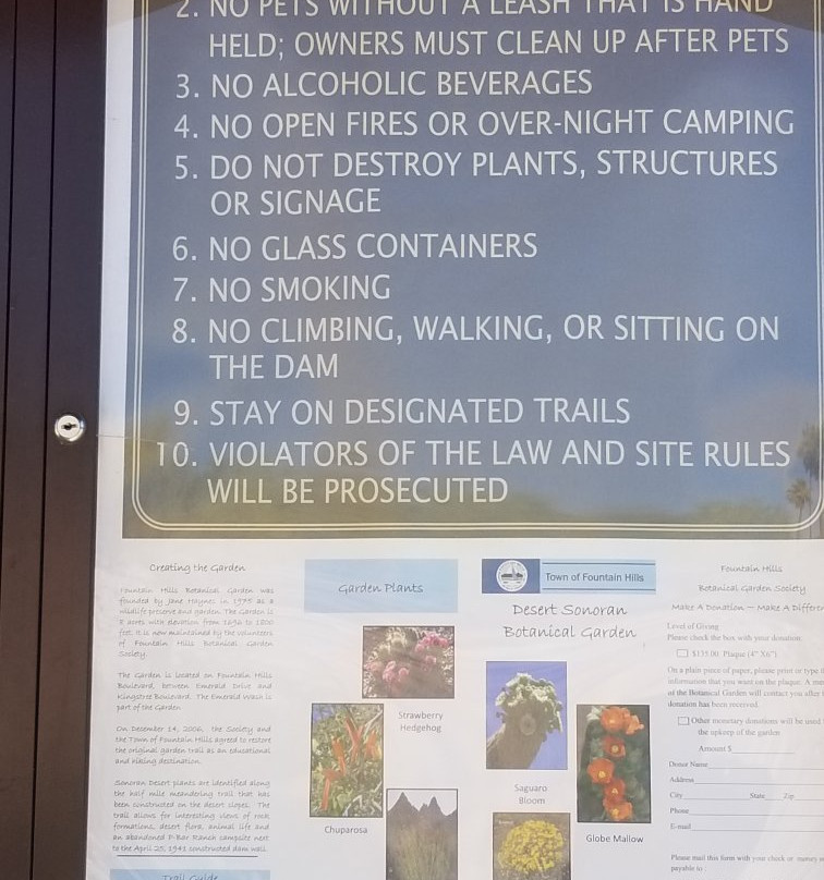 Fountain Hills Botanical Garden-Fountain Hills必去景点