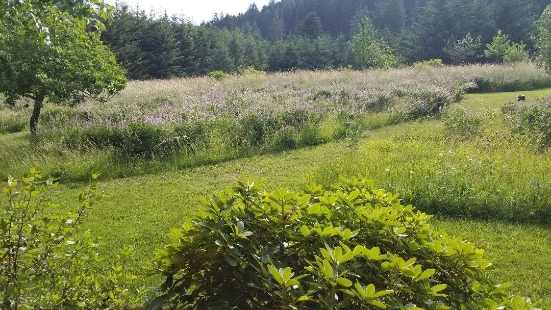 Carson Ridge Luxury Cabins主图