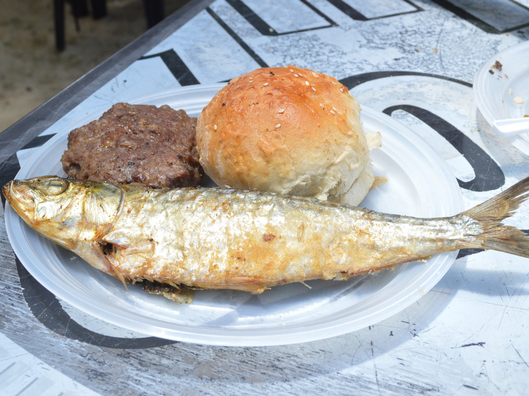 Starfish Cuatro Palmas主图