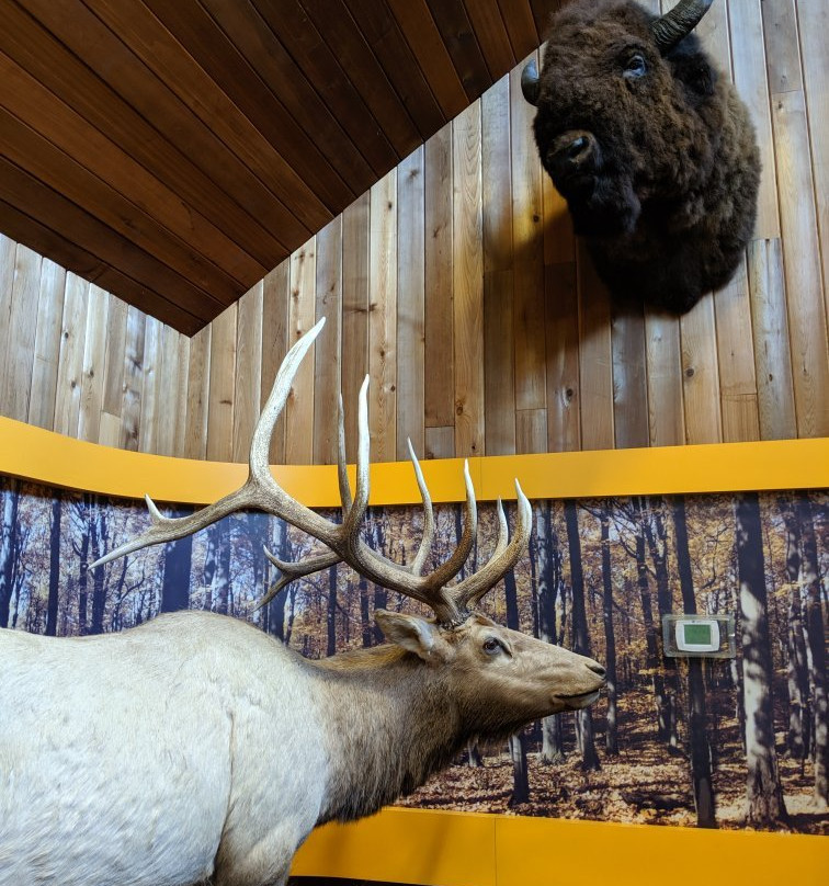 Golden Pond Visitor Center-Golden Pond必去景点