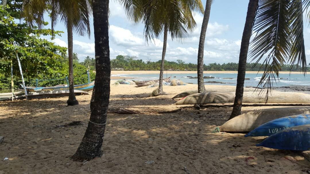 Hotel La Flotte主图