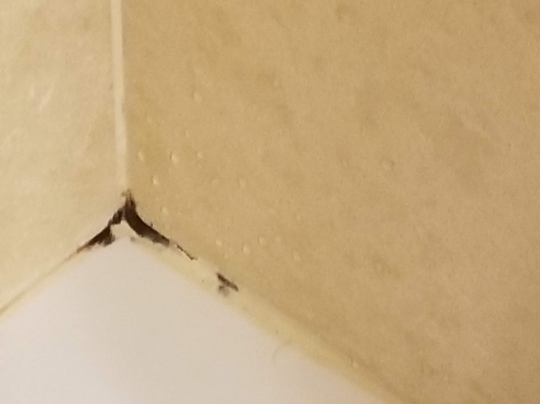 Ramada by Wyndham Topeka Downtown Hotel & Convention Center主图