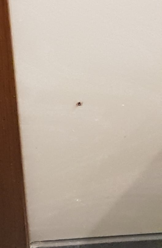 Olympus Terra Boutique Hotel主图