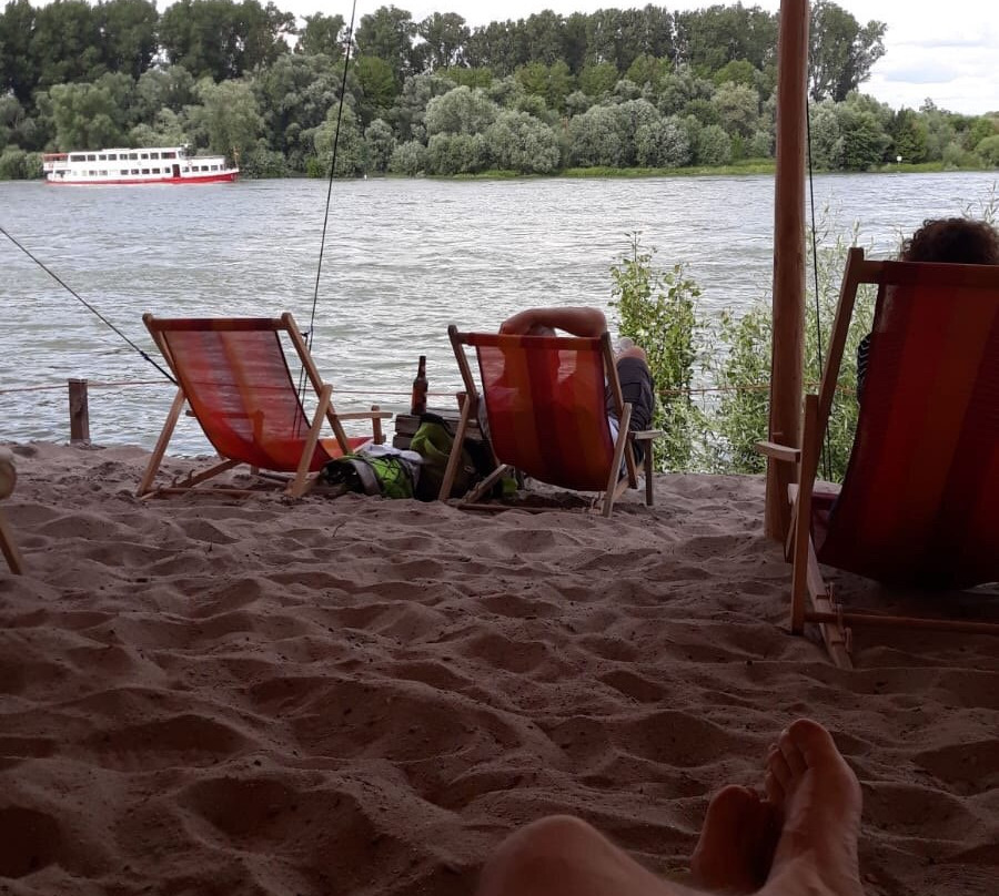 Rheinstrand Speyer景点图片