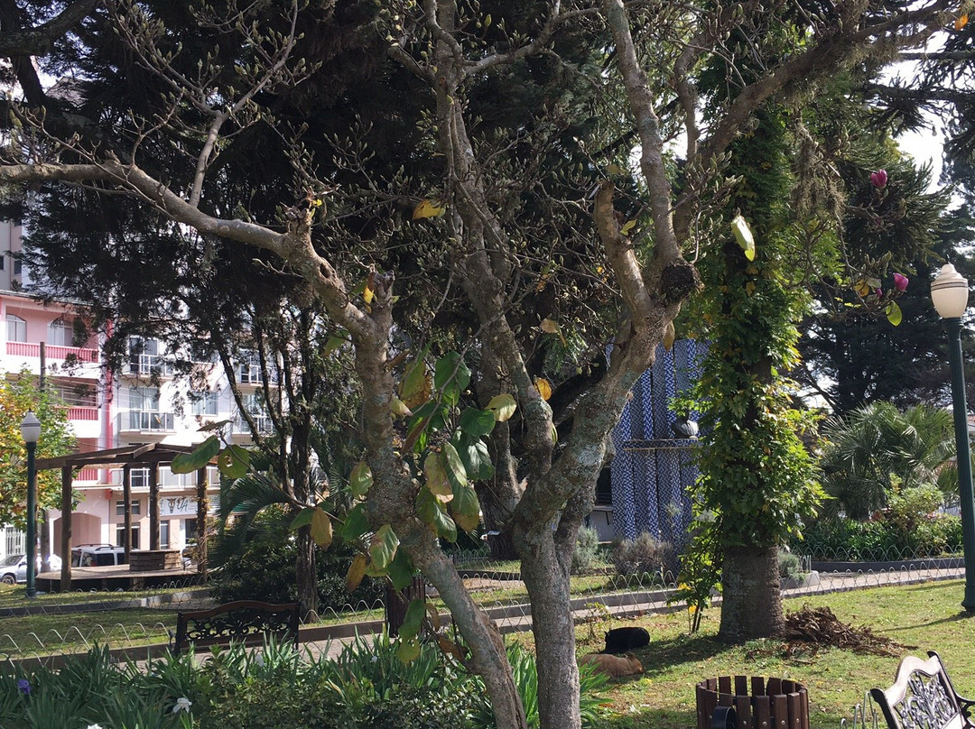 Praça João Ribeiro景点图片