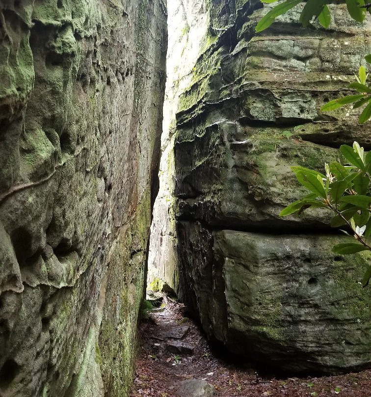 Bilger's Rocks景点图片