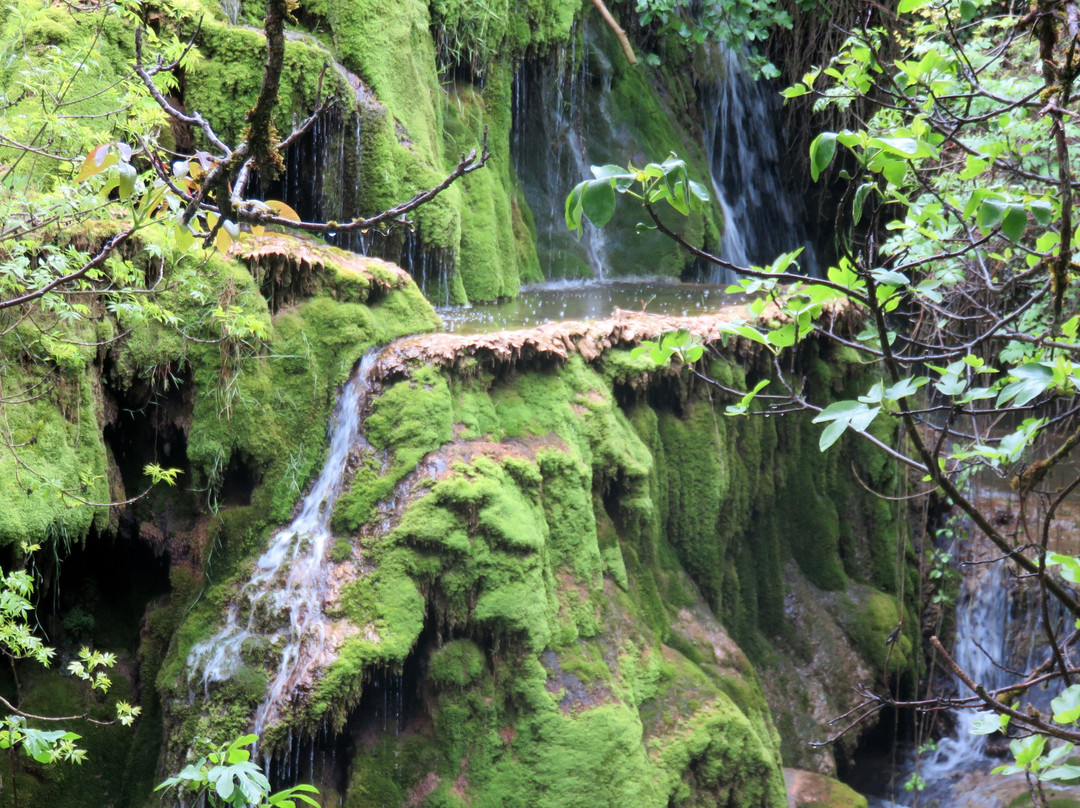 Cascade Petrifiante景点图片