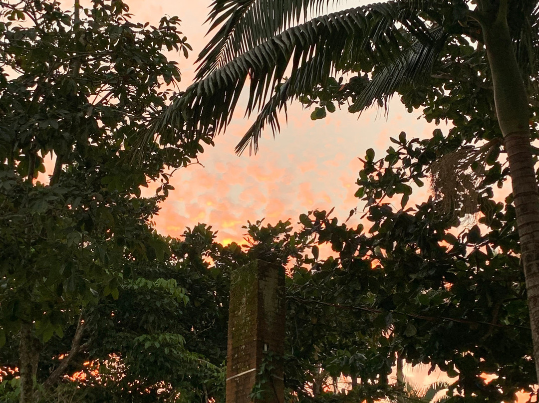 Hotel Sambaqui主图