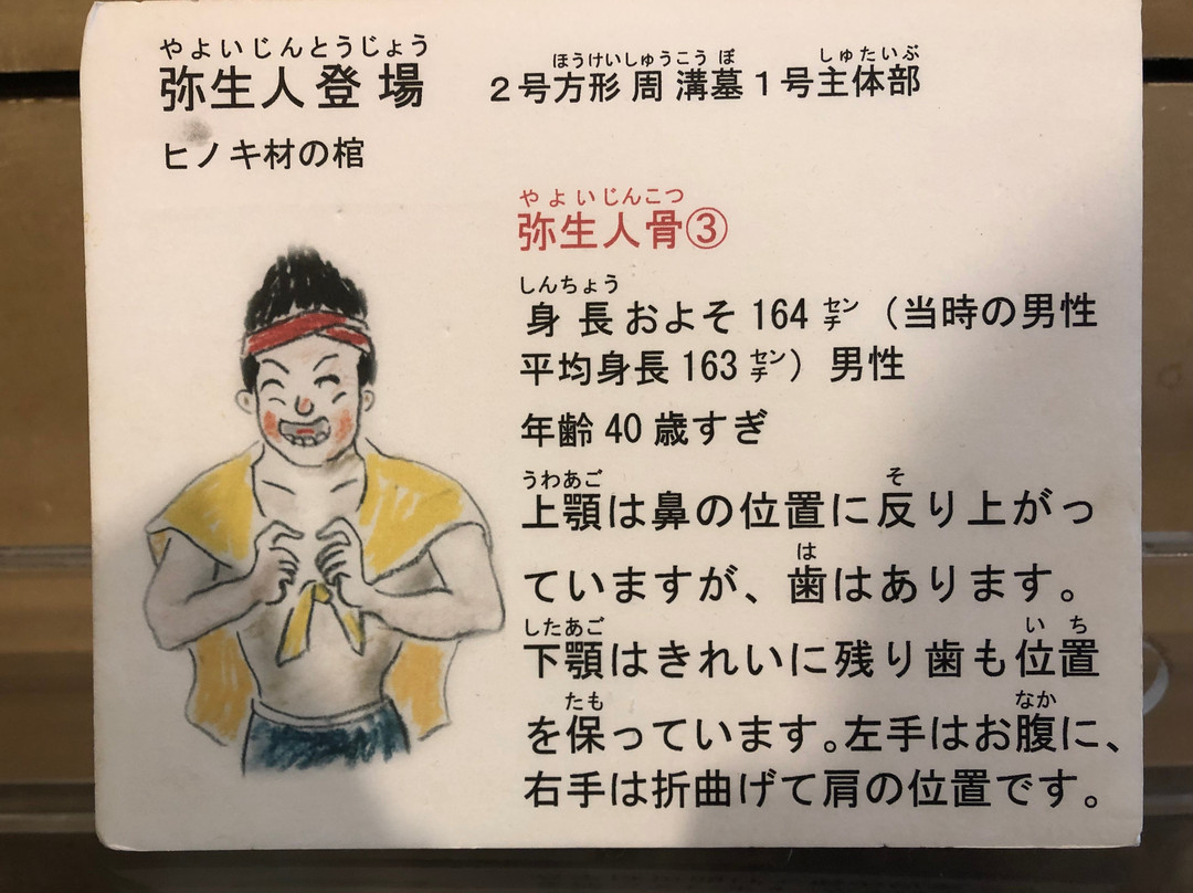 Shijonawate City Museum of History and Folklore-四条畷市必去景点