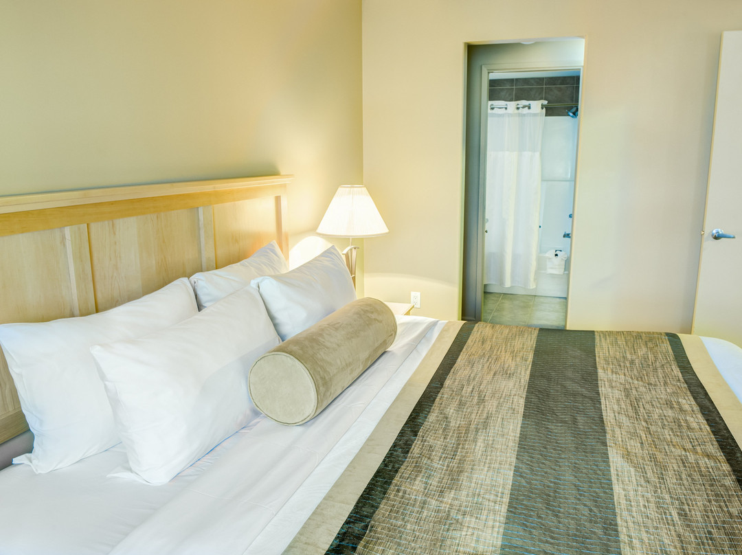 Clearwater Suite Hotel主图