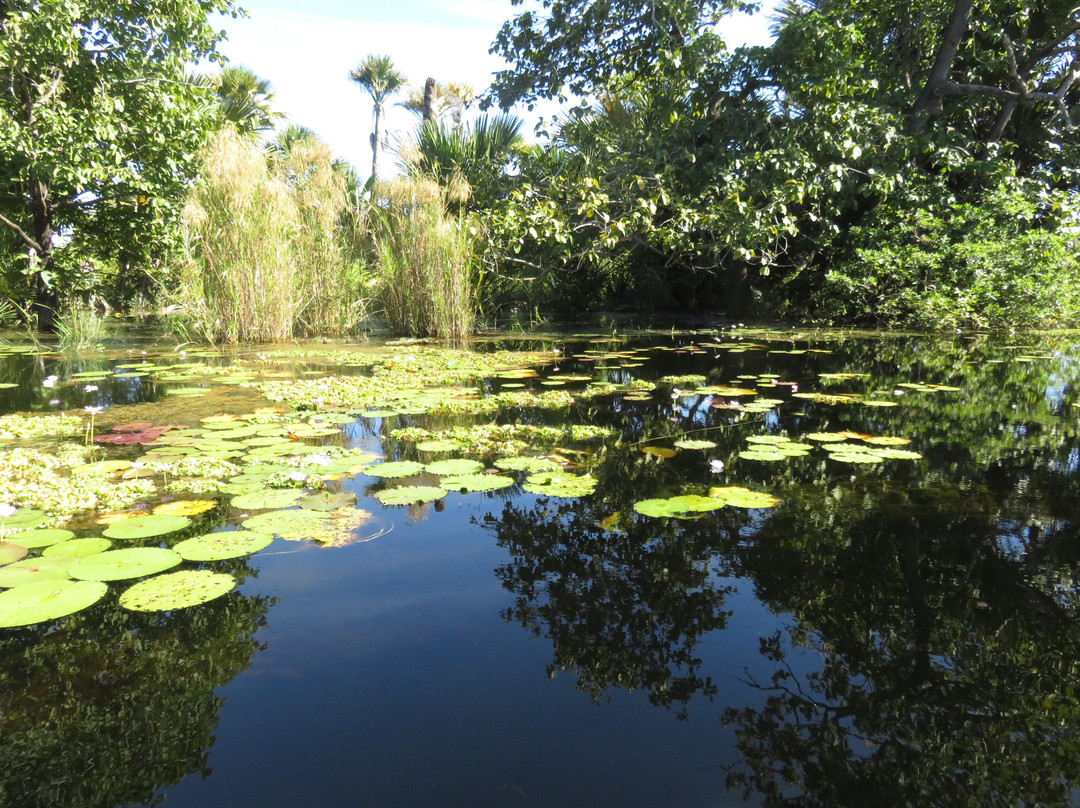 Outback Spirit-Nhulunbuy必去景点