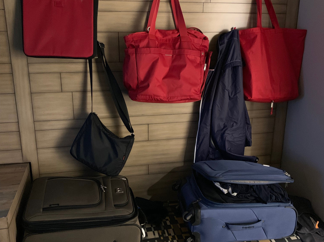 南帕快捷假日&套房酒店主图