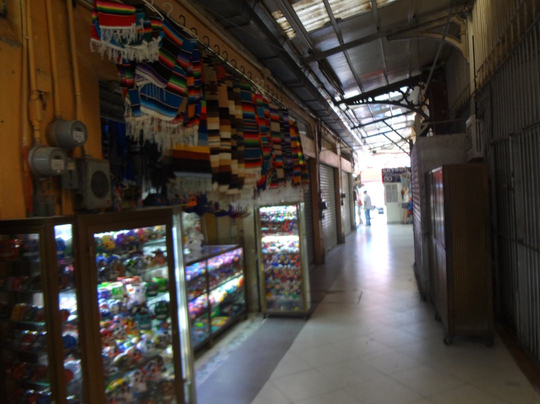 Mercado Municipal-马萨特兰必去景点