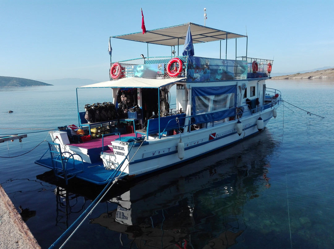 Blue Escape Diving Center-博德鲁姆必去景点