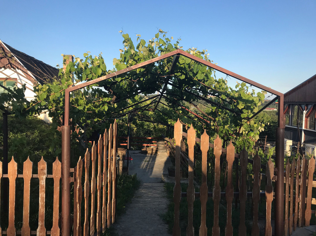 Egregy Cellars-黑维兹必去景点