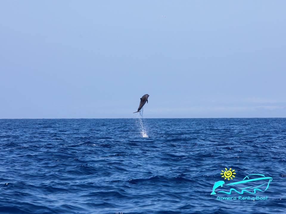 Gomera Rent a Boat景点图片