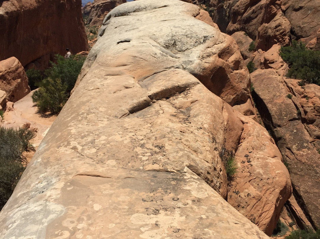 双零拱门-拱门国家公园必去景点