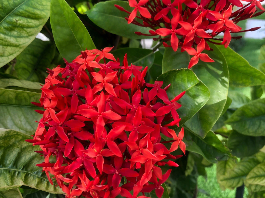 Adden Palace Hotel主图