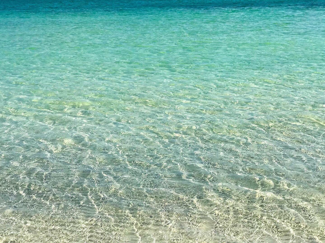 Bonita Springs Dog Park-博尼塔斯普林斯必去景点