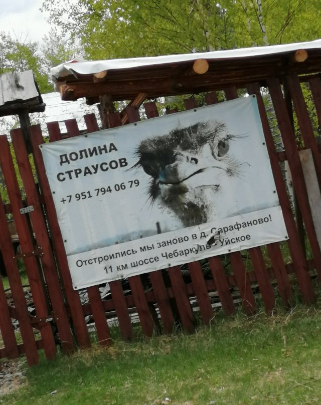 Ostrich Valley-Sarafanovo必去景点