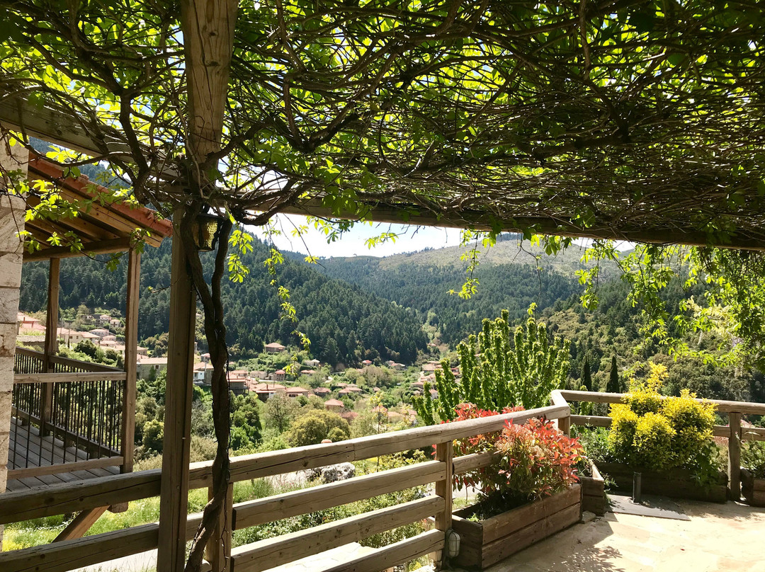 Pritanio Guesthouse主图