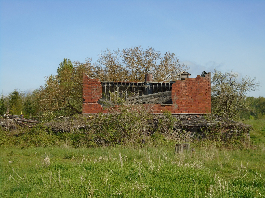 Northern State Ghost Town景点图片