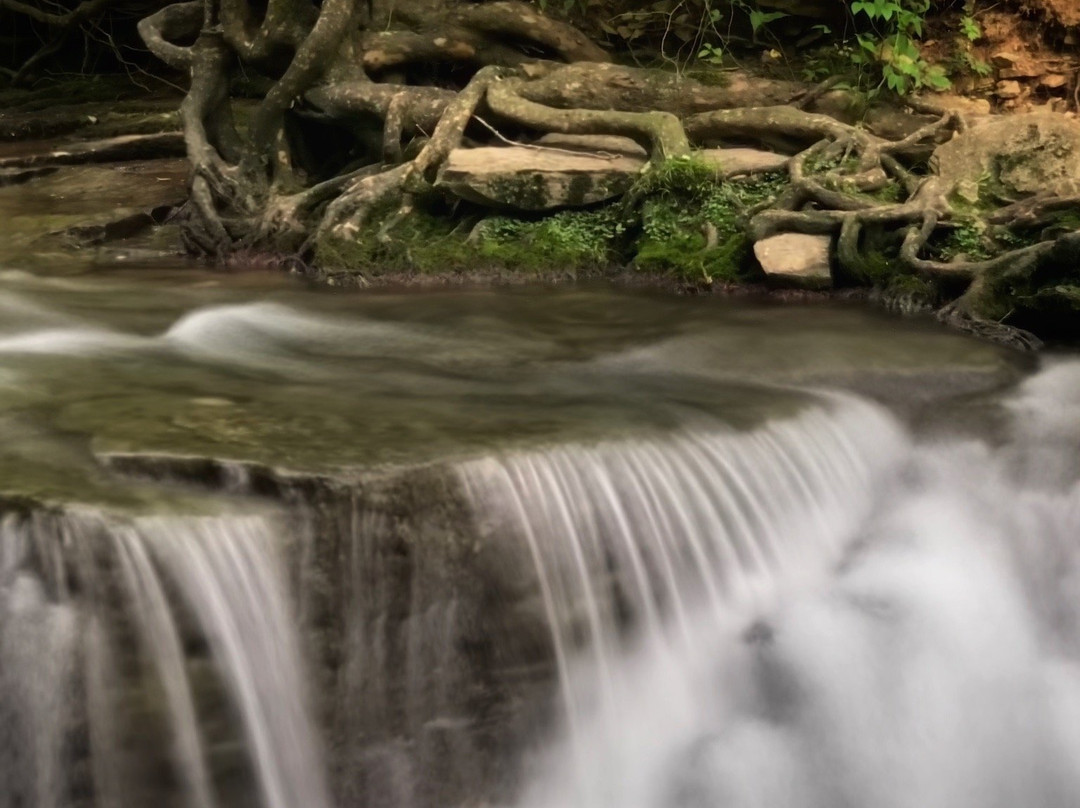 Saunders Springs Nature Preserve-Radcliff必去景点